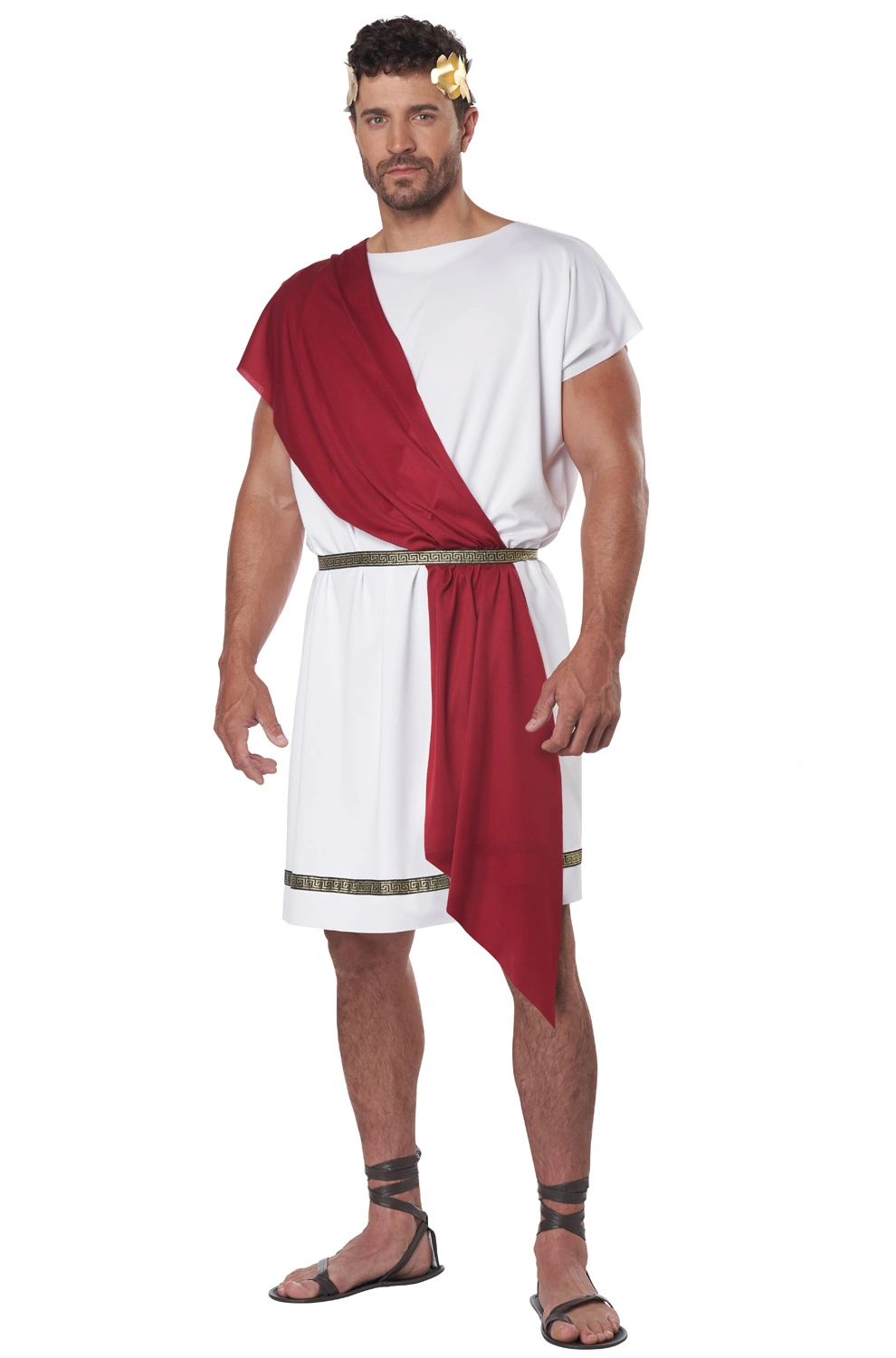 Party Toga Adult Costume