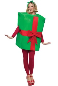 Gift Box Adult Costume