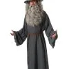 The Hobbit Gandalf Adult Costume