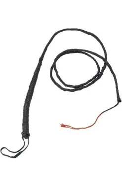 Long Bull Whip Accessory